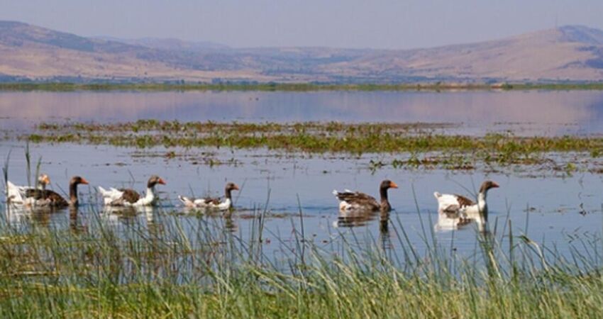 Işıklı Göl - Lavanta Bahçeleri - Salda Gölü Turu