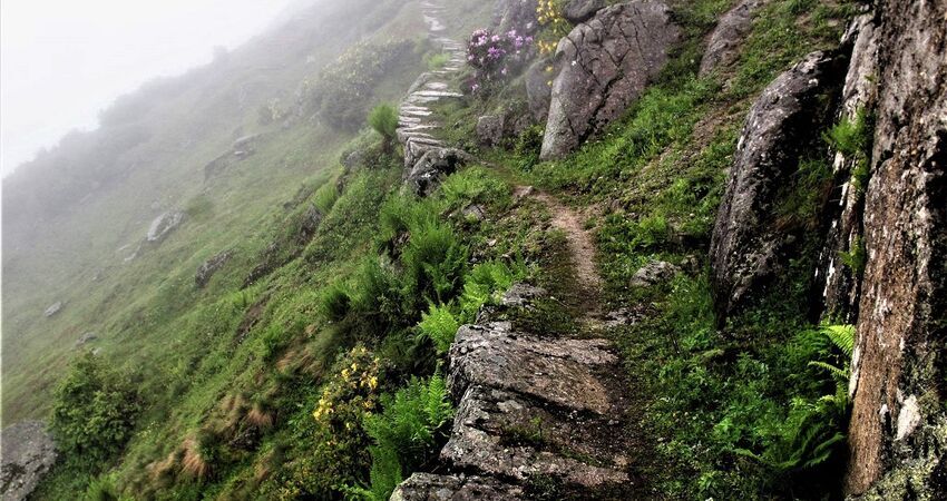 Kaçkar Dağları  Laz Yaylaları/ Doğa-Fotoğraf- Trekking Turu 