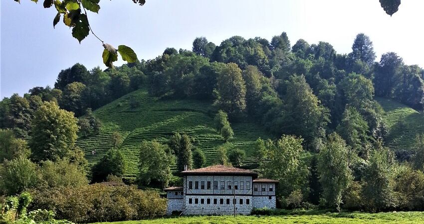 Kaçkar Dağları  Laz Yaylaları/ Doğa-Fotoğraf- Trekking Turu 