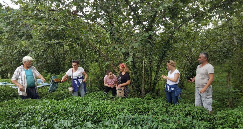 Kaçkar Dağları  Laz Yaylaları/ Doğa-Fotoğraf- Trekking Turu 