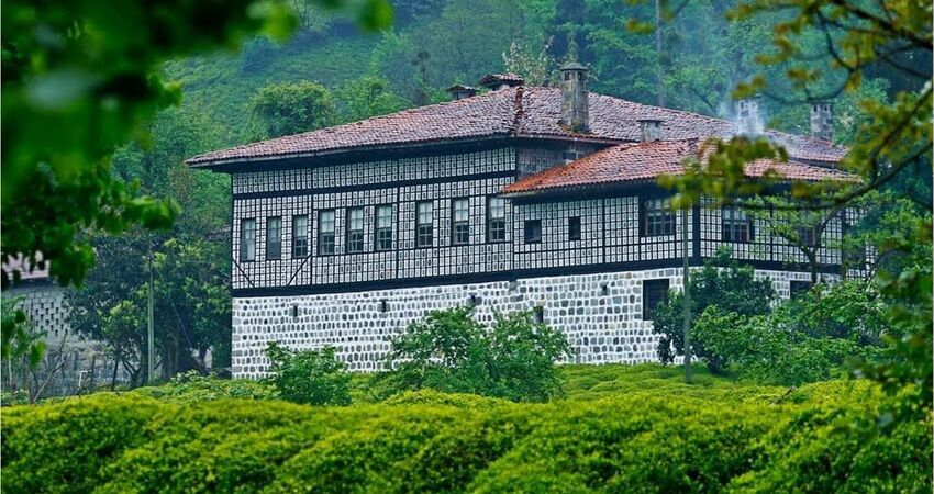 Kaçkar Dağları  Laz Yaylaları/ Doğa-Fotoğraf- Trekking Turu 