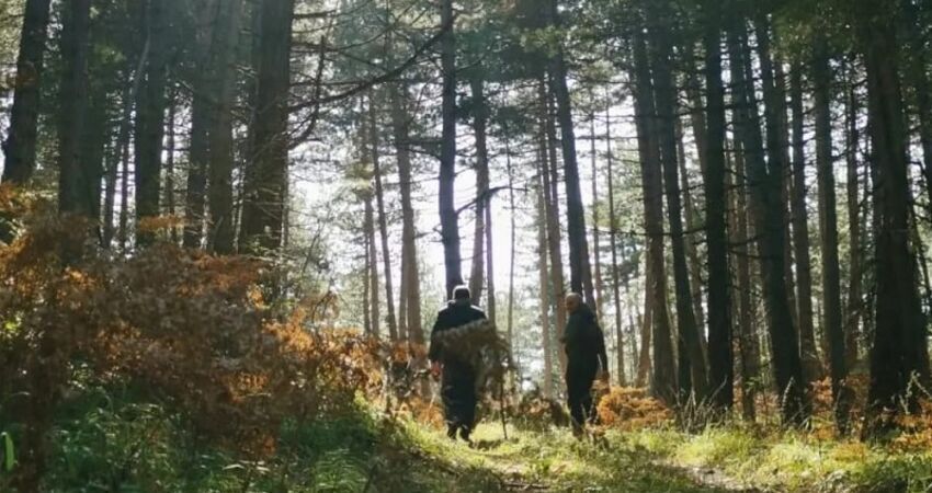 Kazdağları Sonbahar Keşfi 