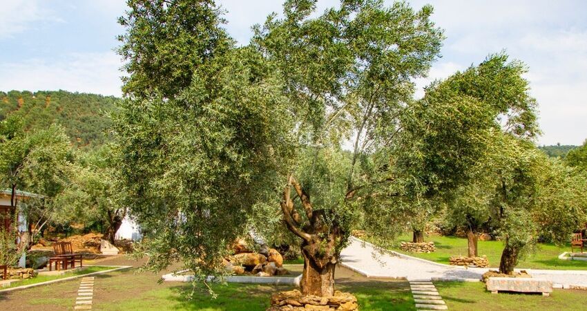 Kazdağları Sonbahar Keşfi 