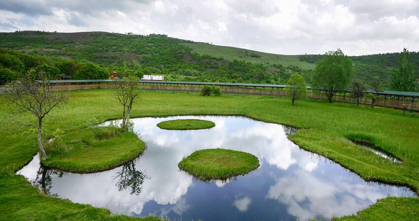 Doğu Anadolu ve Doğu Karadeniz Turu