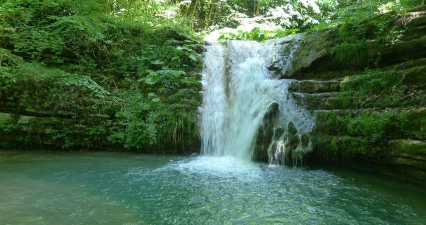 Doğu Karadeniz Yaylaları ve Batum Turu (Klasik Program)