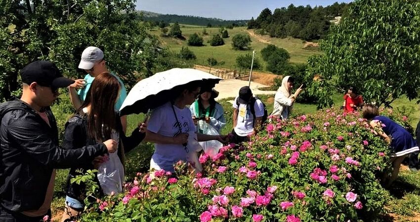 Göller Bölgesi / Gül Hasadı