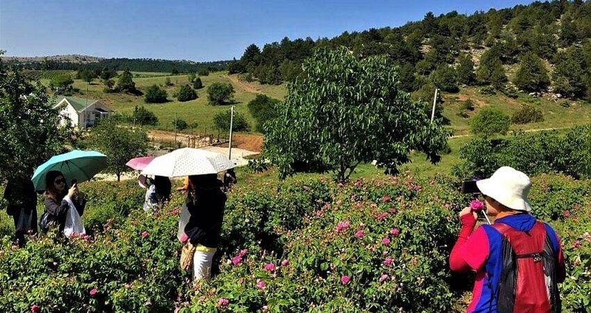 Göller Bölgesi / Gül Hasadı