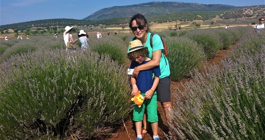 Göller Bölgesi / Gül Hasadı