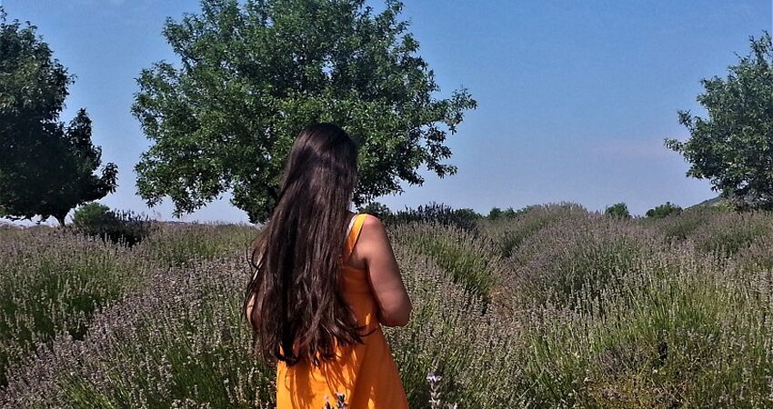 Göller Bölgesi / Gül Hasadı