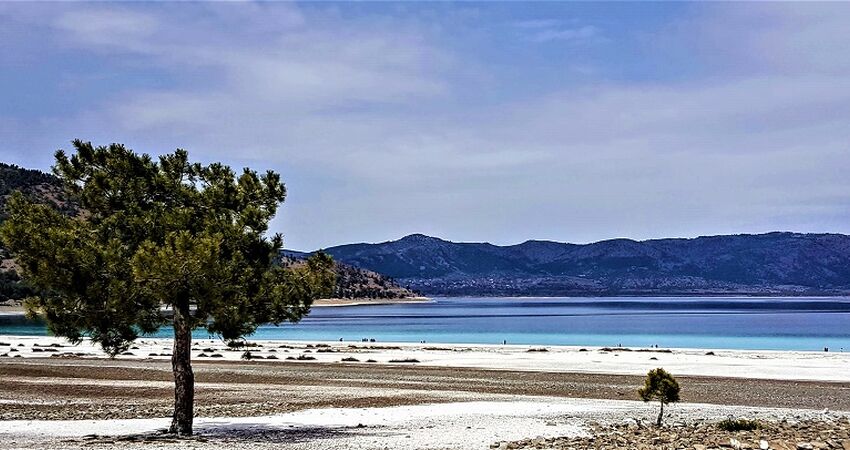 Göller Bölgesi / Gül Hasadı