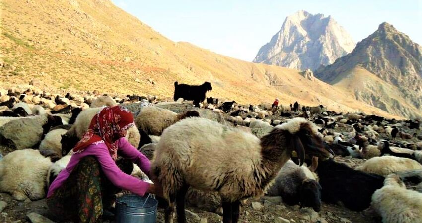 Hakkari Coğrafyasında ,Doğa, Fotoğraf ve Kültür Turu