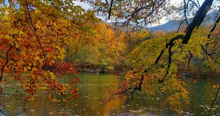 Antalya Çıkışlı Batı Karadeniz Turu (2)