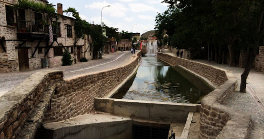 Konya  Lale  Bahçeleri Turu